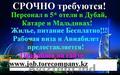 Срочно сотрудники в сфере гостиничного бизнеса и туризма