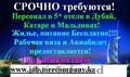 Работа в ОАЭ,  Катаре,  Турции,  Мальдивах и США!!!