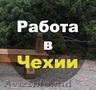 Работа в Чехии на заводе! Без посредников!